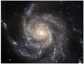 <strong>41)Which of the following statements best describes how this object may have formed? </strong> A)Interstellar gas and dust accumulated due to gravity. Some pockets had enough mass to cause star formation. B)Material accumulated into a sphere because of gravity, and it underwent nuclear fusion of hydrogen. C)A supernova exploded, probably from the late-stage evolution of a high-mass star. D)A star ejected its outer envelope of gas and plasma.
