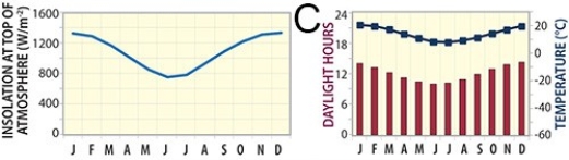 <strong>73)Which of these graphs represents a site near the equator, such as near Ecuador? </strong> A)A B)B C)C D)D