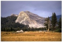 <strong>17)The feature in this photograph is a(n): </strong> A)drumlin. B)roche moutonnée. C)kame. D)esker.