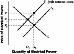 <strong>Currently Q<sub>0</sub> of electrical power is being produced. The demand curve is represented by D, and the current market supply is represented by S<sub>0</sub>. It is discovered that the Rocky Mountain Electrical Co-op and Power Company is discharging waste into the area water supply. As a result, S<sub>1</sub> represents ____ and a price of ____ would represent the true internalized cost of production at that level of output. </strong> A)the supply curve with external costs included; P<sub>2</sub> B)the supply curve with external costs included; P<sub>1</sub> C)the supply curve with external costs included; P<sub>0</sub> D)There is insufficient information available to provide an accurate answer.