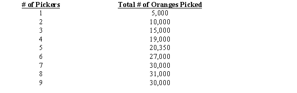 <strong>Exhibit -Refer to Exhibit. The total product of labor diminishes with the addition of the ____ picker.</strong> A)fifth B)seventh C)eighth D)ninth