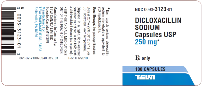 Order: dicloxacillin 1 g/day, PO, in four divided doses, q6h Drug available:   a. How many milligrams should the patient receive q6h? b. How many capsules would you give per dose?<div style=padding-top: 35px> 