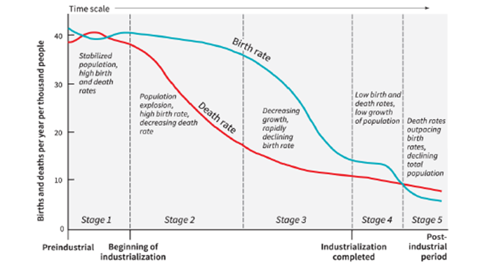 <strong> -As shown on the graph, the stage of the demographic transition in which there is declining fertility, but, as a result of already low mortality, continuing significant growth is:</strong> A) Stage 1 B) Stage 2 C) Stage 3 D) Stage 4