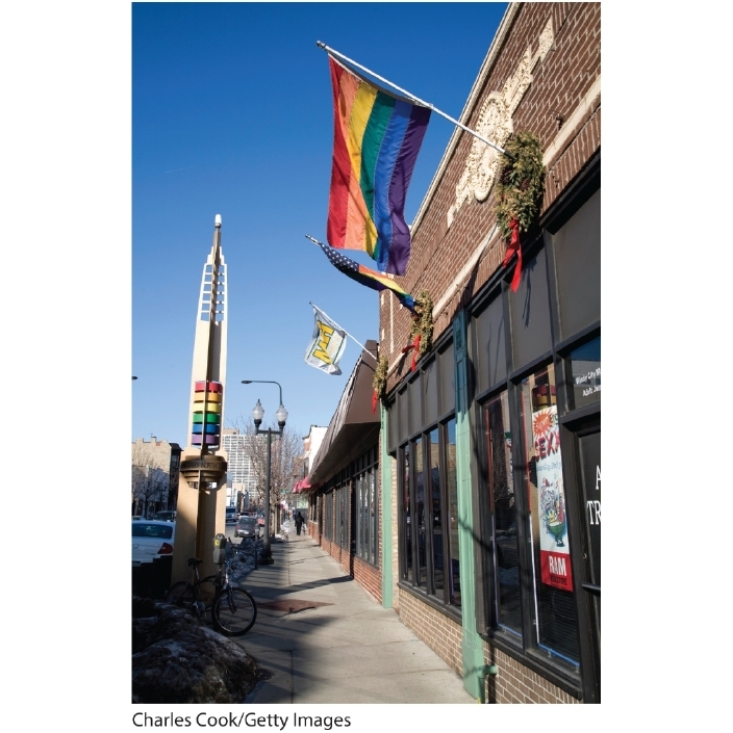 <strong> -The presence of the rainbow flag in this photo signifies that this neighborhood is likely a(n):</strong> A) gentrified neighborhood B) LGBT neighborhood C) convergent community D) elitist landscape