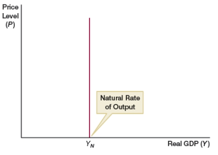 <strong>(Figure: Natural Rate) What does the figure represent? </strong> A) long-run aggregate demand curve B) short-run aggregate demand curve C) long-run aggregate supply curve D) short-run aggregate supply curve