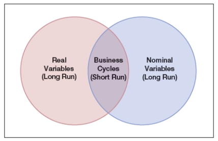 <strong>The Venn diagram shows real variables versus nominal variables, where both nominal and real variables play roles in the business cycle. All the following are examples of real variables, EXCEPT: </strong> A) inflation. B) innovation and new technology. C) investments in physical capital. D) improvements in human capital.