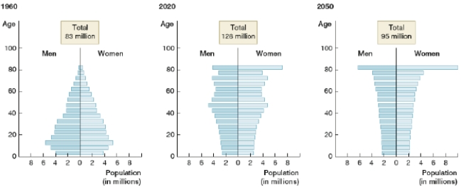 <strong>The graphs show Japanese demographics in 1960, 2020, and 2050. Which statement is NOT correct about these graphs? </strong> A) In 2050, the number of people in their 80's is predicted to be greater than the number of people in their 20's. B) In 1960, there were more babies in Japan than there are predicted to be in 2050. C) The population in Japan is predicted to decrease after 2020. D) The predicted number of retirees in 2050 is less than the number of retirees in 1960.