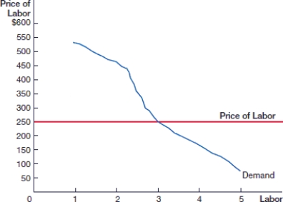<strong>(Figure: Labor in a Competitive Market 0) In the figure, the going price of labor in the competitive labor market is: </strong> A) $50. B) $250. C) $350. D) $450.