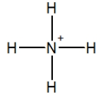 <strong>Which of the following choices is the best Lewis structure for ammonia?</strong> A) B) C) D)