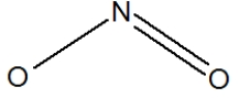 <strong>Which of the following would be correct structure for the nitrite ion, NO<sub>2</sub><sup>-</sup> ?</strong> A) B) C) D)
