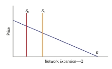 (Figure: Network Goods and Fixed Capacities) The graph represents a small network with a fixed capacity. If capacity increases from S<sub>0</sub> to S<sub>1</sub>, D shifts parallel and to the right, and price increases.