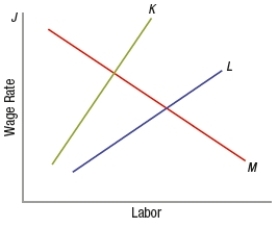 (Figure: Understanding Monopsony Markets) The graph represents a firm that is competitive in the product market but a monopsony in the input market. Which curve represents the value of the marginal product of labor?