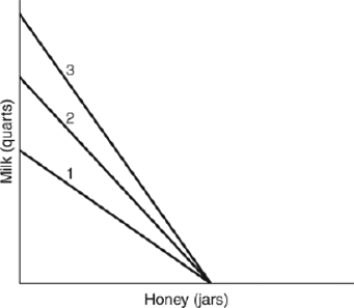 <strong>(Figure: Quarts of Milk and Jars of Honey) Assuming that the current budget line is line 1, if the price of milk in the figure decreases, the budget line shifts from ______ to ______. </strong> A) 3; 1 B) 3; 2 C) 2; 1 D) 1; 2