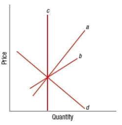 (Figure: Interpreting Short-Run Supply Curves) Based on the graph, which of the curves would MOST likely depict a supply curve in the long run?