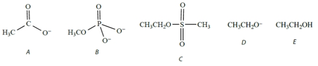 <strong>Which species would act as the best (most reactive) nucleophile toward methyl iodide in a polar aprotic solvent? </strong> A) compound A B) compound B C) compound C D) compound D E) compound E