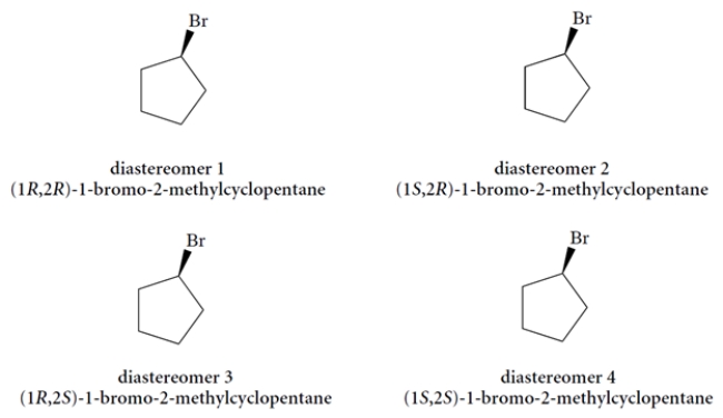 Using the templates provided, draw the four possible diastereomers of 1-bromo-2-methylcyclopentane. (You must add the methyl group at a carbon adjacent to the bromine with wedge or dashed wedge bond, as appropriate.)