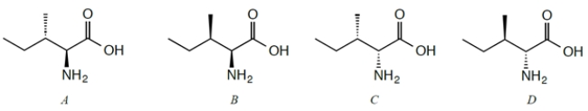 <strong>Four stereoisomers of the naturally occurring amino acid isoleucine are given. L-Isoleucine is the stereoisomer with the 2S,3S configuration. Which configurations are diastereomers of L-Isoleucine? </strong> A) compound A B) compound B C) compound C D) compound D