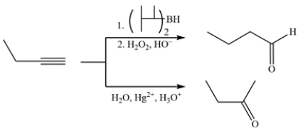 2-Butyne is a symmetrical alkyne and both reactions will give the same ketone product.    1-Butyne is a terminal alkyne and will give an aldehyde using hydroboration-oxidation and a ketone using Hg<sup>2+</sup>-catalyzed hydration.   