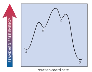 A multistep reaction A ⇌ B ⇌ C ⇌ D has the free energy-reaction coordinate diagram shown below. Which step of the reaction is rate-limiting in the forward direction?