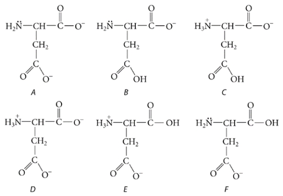 <strong>Aspartic acid is a naturally occurring amino acid. It is shown below in the form in which it exists in very acidic solutions. Its pK<sub>a</sub> values are 1.9, 3.7, and 9.6. What is the predominant form in which it exists at physiological pH (pH = 7.4)? </strong> A) form A B) form B C) form C D) form D E) form Ef. form F