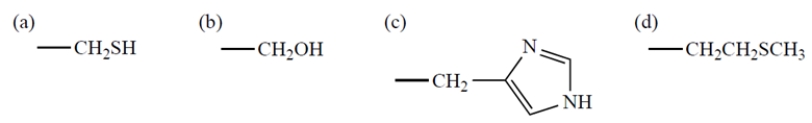 <strong>The configuration of all the naturally occurring <font face=symbol></font>-amino acids is as follows: All but one of the naturally occurring <font face=symbol></font>-amino acids have the S configuration at the asymmetric carbon. In the one amino acid that has the R configuration, the R group is </strong> A) group (a). B) group (b). C) group (c). D) group (d). E) None of these has the R configuration.