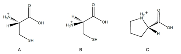 <strong>Which, if any, of the structures represents a D-amino acid? </strong> A) compound A B) compound B C) compound C D) none of these compounds