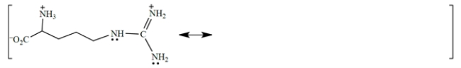 The amino acid arginine (Arg, R) exists at pH = 7.4 as the following structure: a. The cation in the side chain is resonance stabilized. Complete the description of the resonance hybrid in the diagram above by drawing two other resonance structures and the curved-arrow notation used to derive them. (You can draw just the relevant part of the side chain.) Show all charges and unshared pairs! b. Select the one true statement: (1) Resonance makes this form of the amino acid a stronger base than it would be in the absence of such resonance. (2) Resonance makes this form of the amino acid a weaker base than it would be in the absence of such resonance. (3) Resonance makes this form of the amino acid a weaker acid than it would be in the absence of such resonance. (4) Resonance makes this form of the amino acid a stronger acid than it would be in the absence of such resonance.