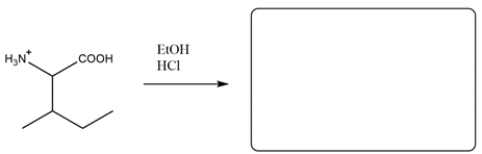 Predict the major organic product for the reaction: