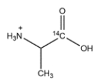 Outline a synthesis of the radiolabeled amino acids below. You can use Na<sup>14</sup>CN as a source of <sup>14</sup>C. Deuterated compounds can be prepared from CD<sub>3</sub>OH. a. b.