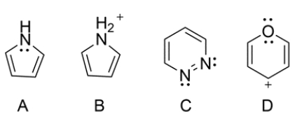 Start by adding lone pairs to each heteroatom.    Compound A is aromatic, as the nitrogen contributes two electrons to the pi electron system, giving an overall count of six pi electrons. Compound B is nonaromatic, as it does not have a p orbital on the nitrogen and is sp<sup>3</sup> hybridized. Compound C is aromatic, as the lone pairs on each nitrogen are located on an sp<sup>2</sup> orbital and not part of the pi electron system. Compound D is aromatic, as one of the lone pairs on the oxygen contributes to the pi electron system of the ring, giving an overall count of six pi electrons.