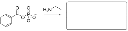 Predict the major organic product for the reaction.   