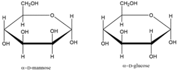 <strong>Identify the relationship between the two carbohydrates. Select all that apply. </strong> A) enantiomer B) diastereomer C) anomer D) epimer
