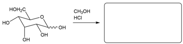 Predict the major organic product for the reaction. If more than one isomer is formed, just draw one.