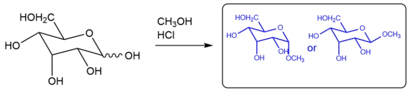 The monosaccharide will react with methanol under acidic conditions to give a cyclic acetal. None of the other hydroxy groups will be converted to an ether. Both the alpha and beta anomers will be formed.   
