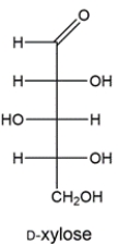 The Ruff degradation of two aldohexoses gives D-xylose. Deduce the structures of the two aldohexoses.