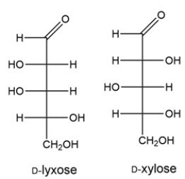 The Ruff degradation will remove the top carbon of an aldopentose. Carbon 2 of the aldopentose will become the aldehyde carbon in the threose. Working backward, this means the aldopentoses must have been D-lyxose or D-xylose.   