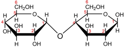 The disaccharide maltose is shown below. a. Classify the disaccharide as a reducing or nonreducing sugar and explain why. b. Identify the glucoside linkage in maltose and classify each as either alpha or beta. c. Name the monosaccharides formed when maltose is hydrolyzed in aqueous acid.