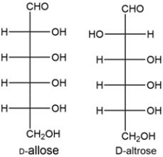 The Kiliani-Fischer synthesis adds a carbon to an aldopentose to generate the two aldohexoses. The aldopentose and aldohexoses can be oxidized to aldaric acids, where the top and bottom carbons of the Fischer projections are both carboxylic acids. The aldopentose gives an optically inactive aldaric acid, so it must have been either D-ribose or D-xylose, since both aldaric acids formed from these have a plane of symmetry bisecting carbon 3.    ​ The two aldohexoses formed from the Kiliani-Fischer synthesis of ribose would be D-allose and D-altrose.    ​ The aldaric acid made from D-allose would be optically inactive, while the aldaric acid made from D-altrose would be optically active. This matches the data given. Let's look at the other possibility. The two aldohexoses made from the Kiliani-Fischer synthesis of xylose would be D-gulose and D-idose.    ​ The aldaric acids made from gulose and idose will both be optically active, which doesn't match the data given, so we can conclusively identify the aldopentose as D-ribose. Aldohexose A is D-allose and aldohexose B is D-altrose.