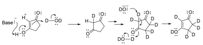 The proton labeled with an asterisk is not acidic as drawn, but the adjacent hydroxy group is part of an enol, which can undergo keto-enol tautomerization to a dicarbonyl, making the indicated hydrogen acidic. The proton on carbon 2 can be exchanged for a deuterium, as can the remaining protons, as they are all on alpha carbons too. The last step is another keto-enol tautomerization to give the product.   