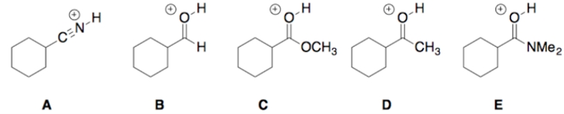 <strong>Which of the compounds would be the least acidic? </strong> A) compound A B) compound B C) compound C D) compound D E) compound E