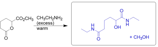 The starting material consists of two esters, each of which will react with the amine to form an amide.   