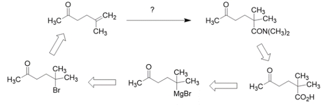 Working backward, the product has added a carbon to the starting material. The product is an amide, so the precursor might have been a carboxylic acid. The precursor to a carboxylic acid could have been a Grignard with CO<sub>2</sub>. The Grignard would come from an alkyl halide, which could come from the addition of HBr to the starting alkene.    Note that the starting material contains a carbonyl that is not changed throughout the synthesis, but would be reactive with the Grignard reagent, so it needs to be protected. The synthesis in the forward direction would be:   