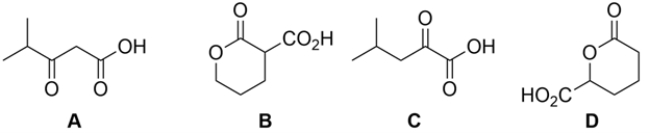 <strong>Which of the carboxylic acids would not decarboxylate (lose CO<sub>2</sub>) upon warming? </strong> A) compound A B) compound B C) compound C D) compound D E) neither compound C nor compound D would decarboxylate upon warming