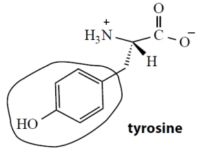 The α-amino acid tyrosine has the following structure. What is the functional group (circled) in the side-chain of tyrosine? 