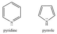 Pyridine and pyrrole are both aromatic nitrogen-containing rings. Explain how the lone pair on each nitrogen contributes or does not contribute to the pi electron count.