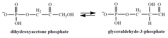 <strong>The enzyme triose phosphate isomerase catalyzes this important reaction in glycolysis (the breakdown of glucose): </strong> A) an oxidation. B) a reduction. C) neither an oxidation nor a reduction. D) an S<sub>N</sub>2 reaction.