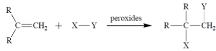 <strong>A free-radical addition of a certain compound X-Y to an alkene (R = alkyl) results in the conversion: The first propagation step in the mechanism is Therefore, what is the second propagation step in the mechanism?</strong> A) B) C) D) Both (b) and (c) are propagation steps. E) Both (a) and (b) are propagation steps.