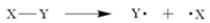 <strong>A free-radical addition of a certain compound X-Y to an alkene (R = alkyl) results in the conversion: The first propagation step in the mechanism is Therefore, what is the second propagation step in the mechanism?</strong> A) B) C) D) Both (b) and (c) are propagation steps. E) Both (a) and (b) are propagation steps.
