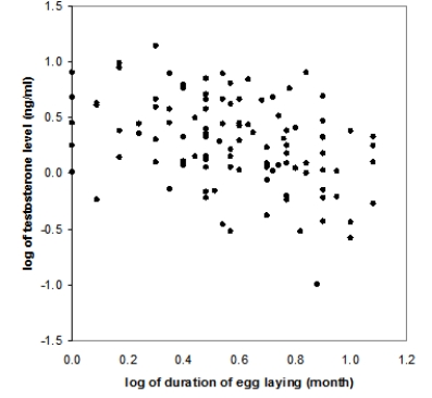 <strong>Bird species from temperate regions must cope with relatively short breeding seasons. A study examined the relationship between blood testosterone level (ng/ml) and the duration of the egg-laying period (months) in temperate bird species. The following scatterplot displays this relationship, after taking the logarithm of each variable: What does this scatterplot reveal? </strong> A)A weak negative linear association between the logarithm of egg-laying duration and the logarithm of testosterone level B)A weak positive linear association between the logarithm of egg-laying duration and the logarithm of testosterone level C)No association at all between the logarithm of egg-laying duration and the logarithm of testosterone level