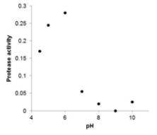 <strong>The protease activity found in walnuts preserved in buffers of various pHs is listed in the following table: ? ? \begin{array} { | l | l | l | l | l | l | l | l | } \hline \mathrm { pH } & 4.5 & 5 & 6 & 7 & 8 & 9 & 10 \\ \hline \text { protease activity } & 0.17 & 0.245 & 0.28 & 0.055 & 0.02 & 0 & 0.025 \\ \hline \end{array} Which of the following scatterplots is a correct representation of the data?</strong> A) B) C) D)